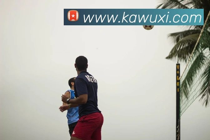 K1体育平台生态图